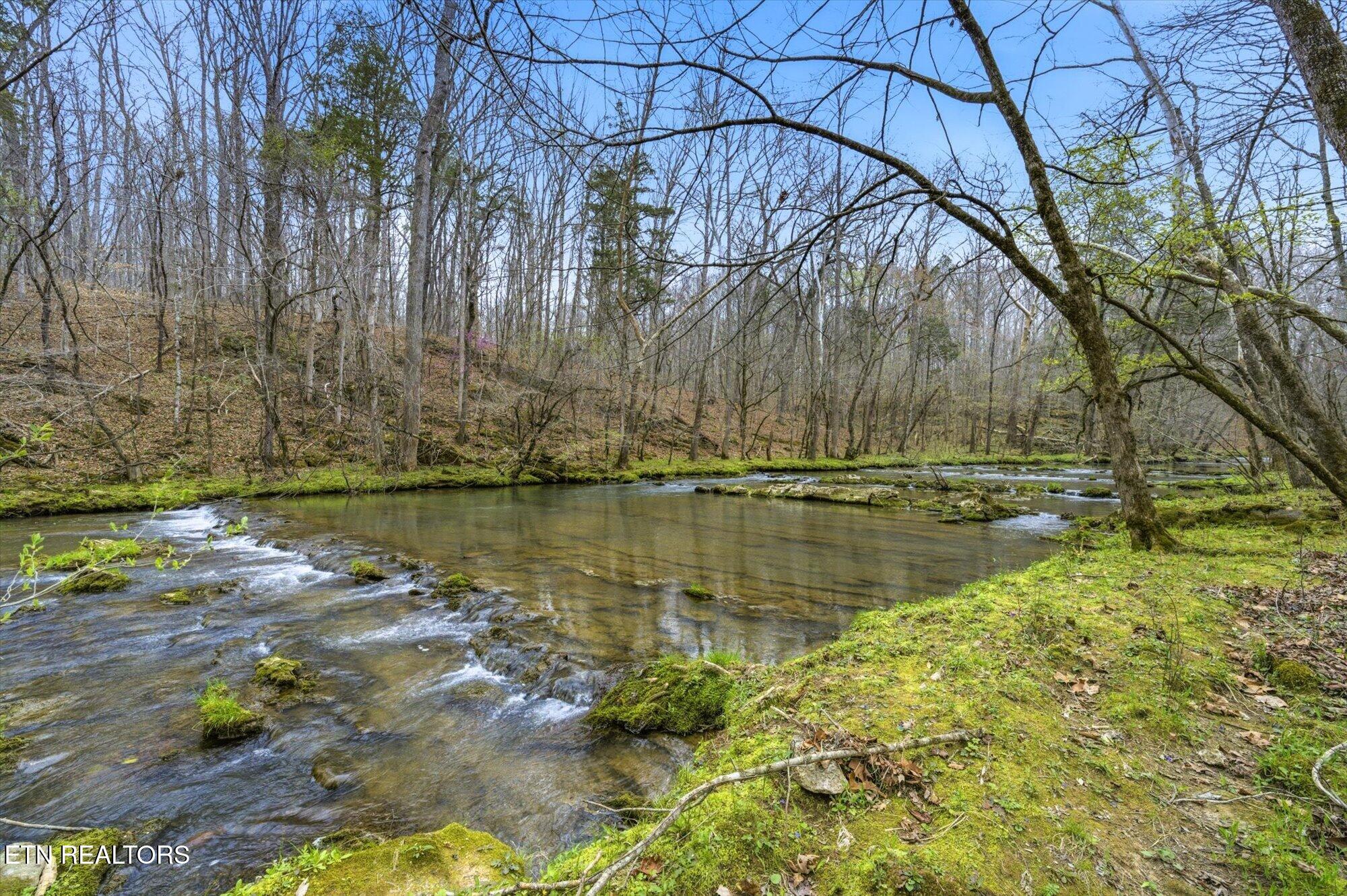 285 Suddath Road Ten Mile, TN 37880 - Photo 7 of 32 07-285-Suddath-Rd-Ten-Mile-TN-7