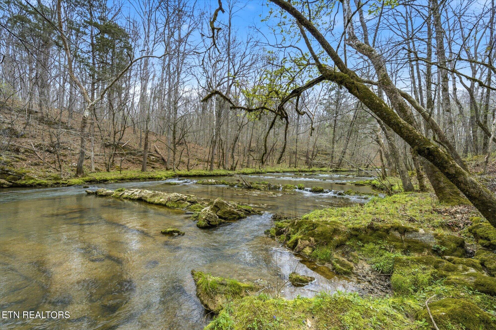 285 Suddath Road Ten Mile, TN 37880 - Photo 8 of 32 08-285-Suddath-Rd-Ten-Mile-TN-8