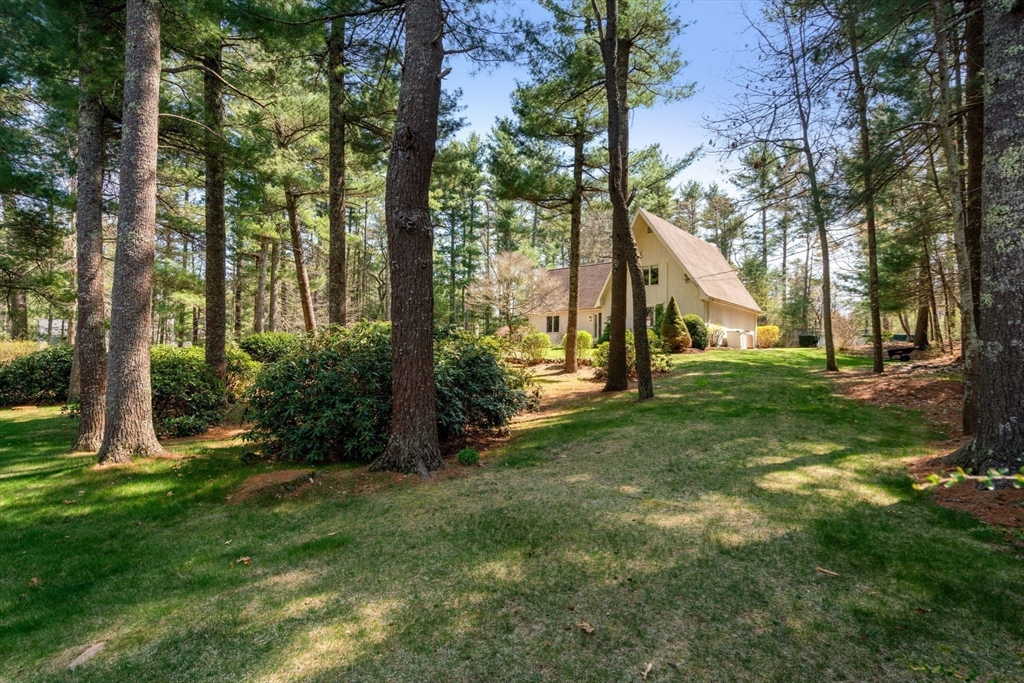 27 Stuart Road Rochester, MA 02770 - Photo 6 of 42 a view of a trees in a yard
