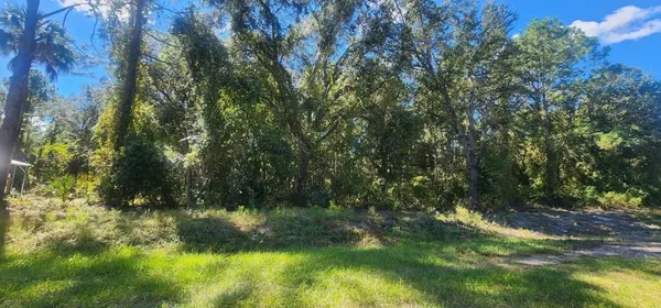 a view of a yard
