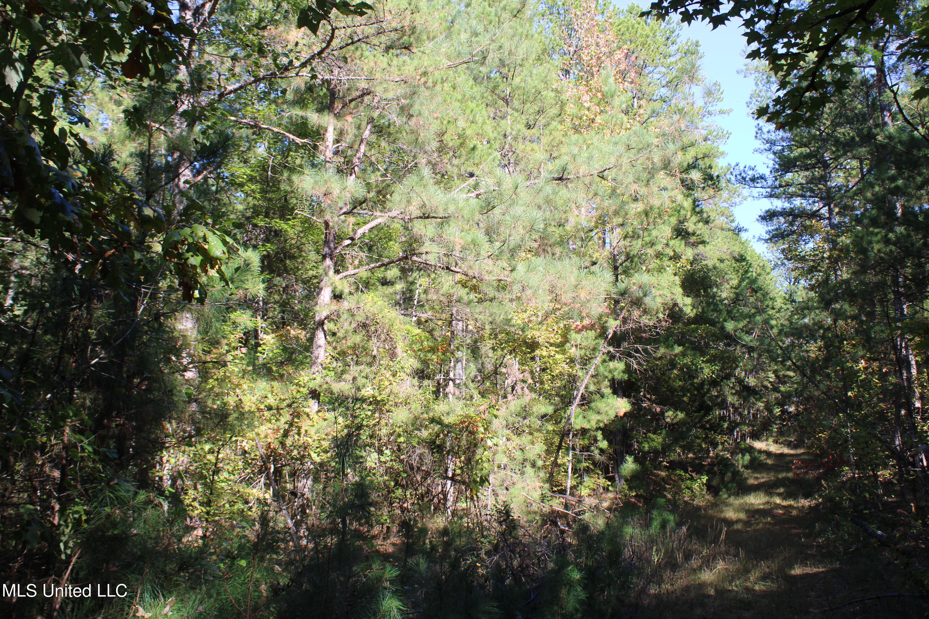 1506 Lower Gurley Road Potts Camp, MS 38659 - Photo 21 of 52 IMG_4796