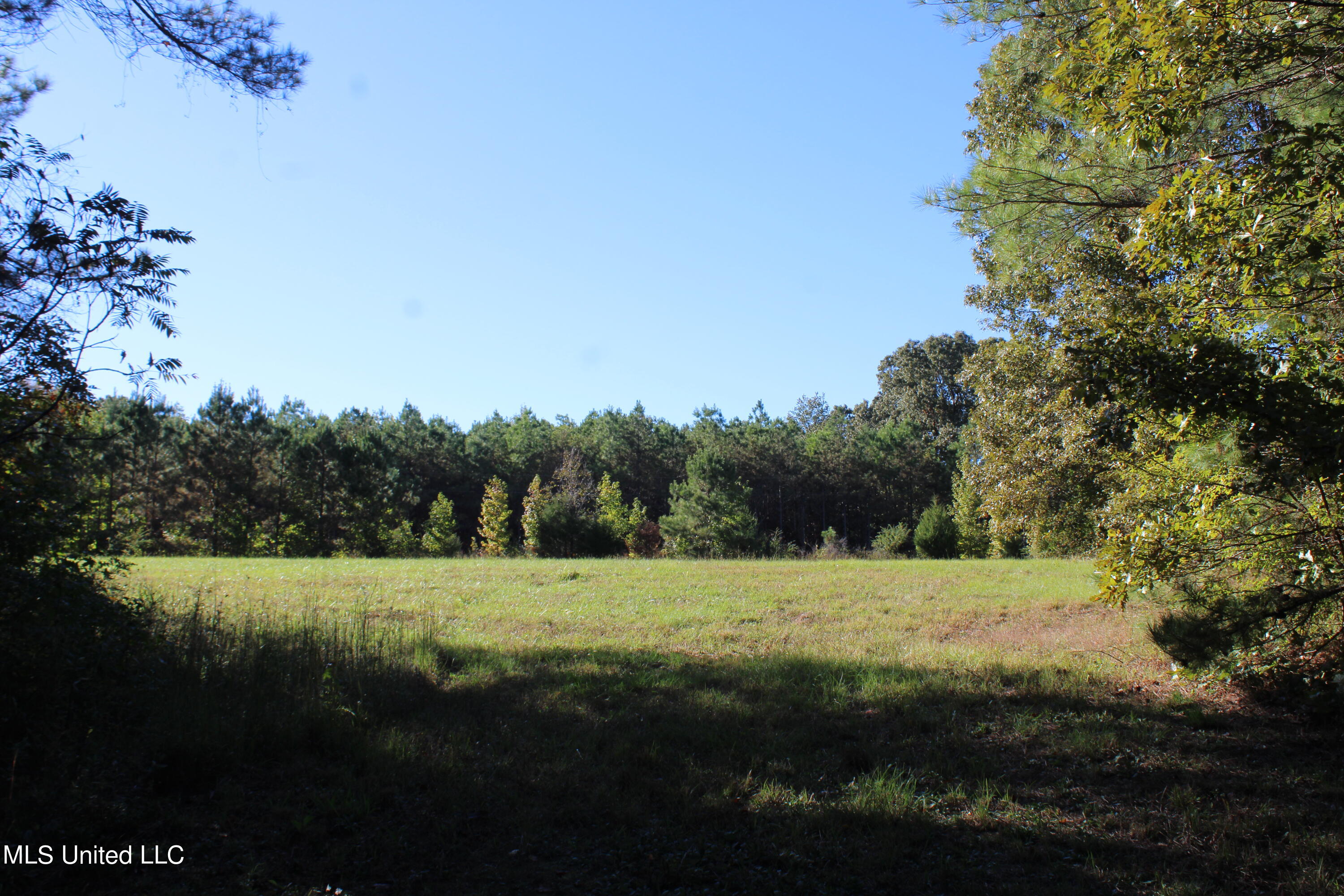 1506 Lower Gurley Road Potts Camp, MS 38659 - Photo 50 of 52 IMG_4826