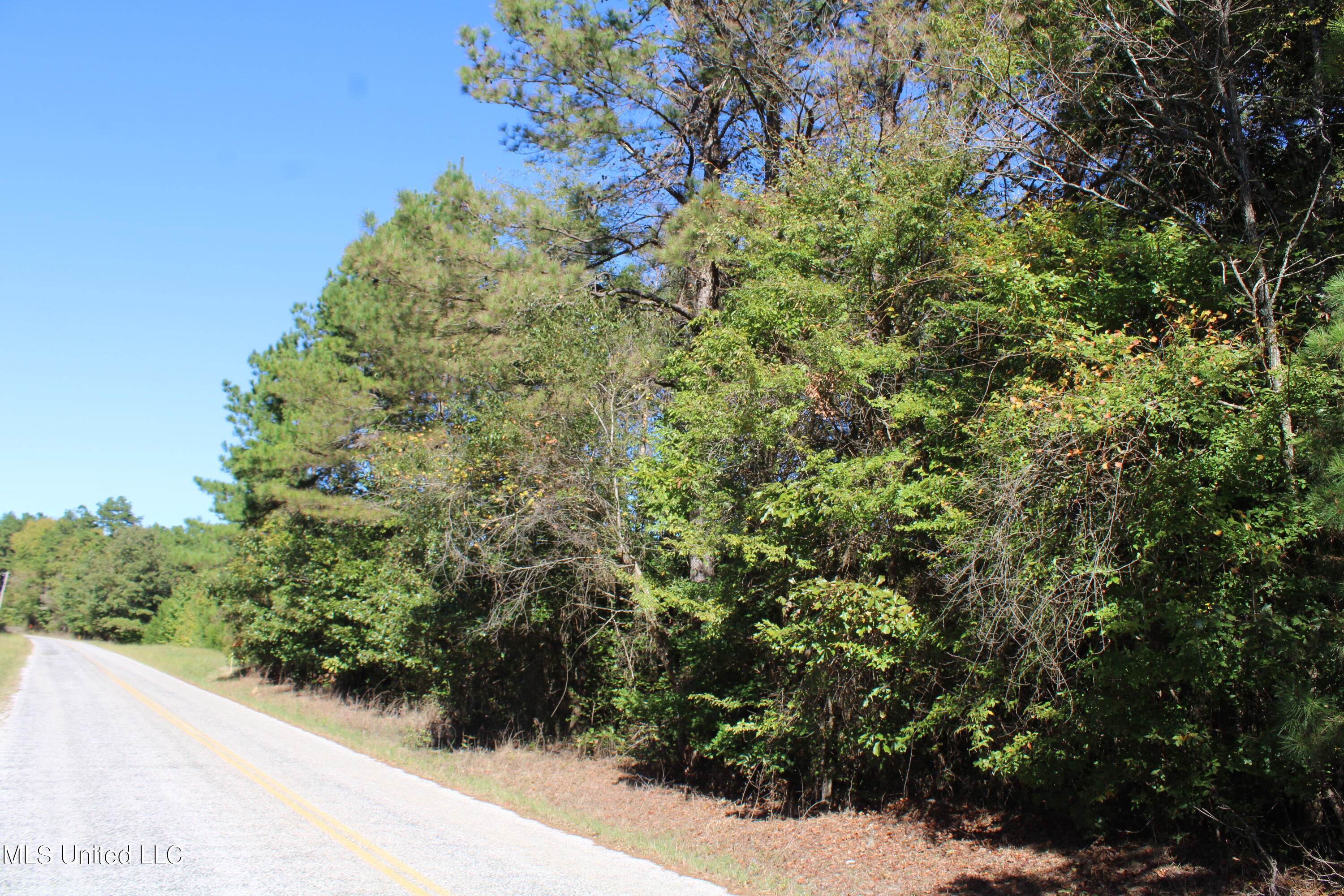 1506 Lower Gurley Road Potts Camp, MS 38659 - Photo 10 of 52 IMG_4785