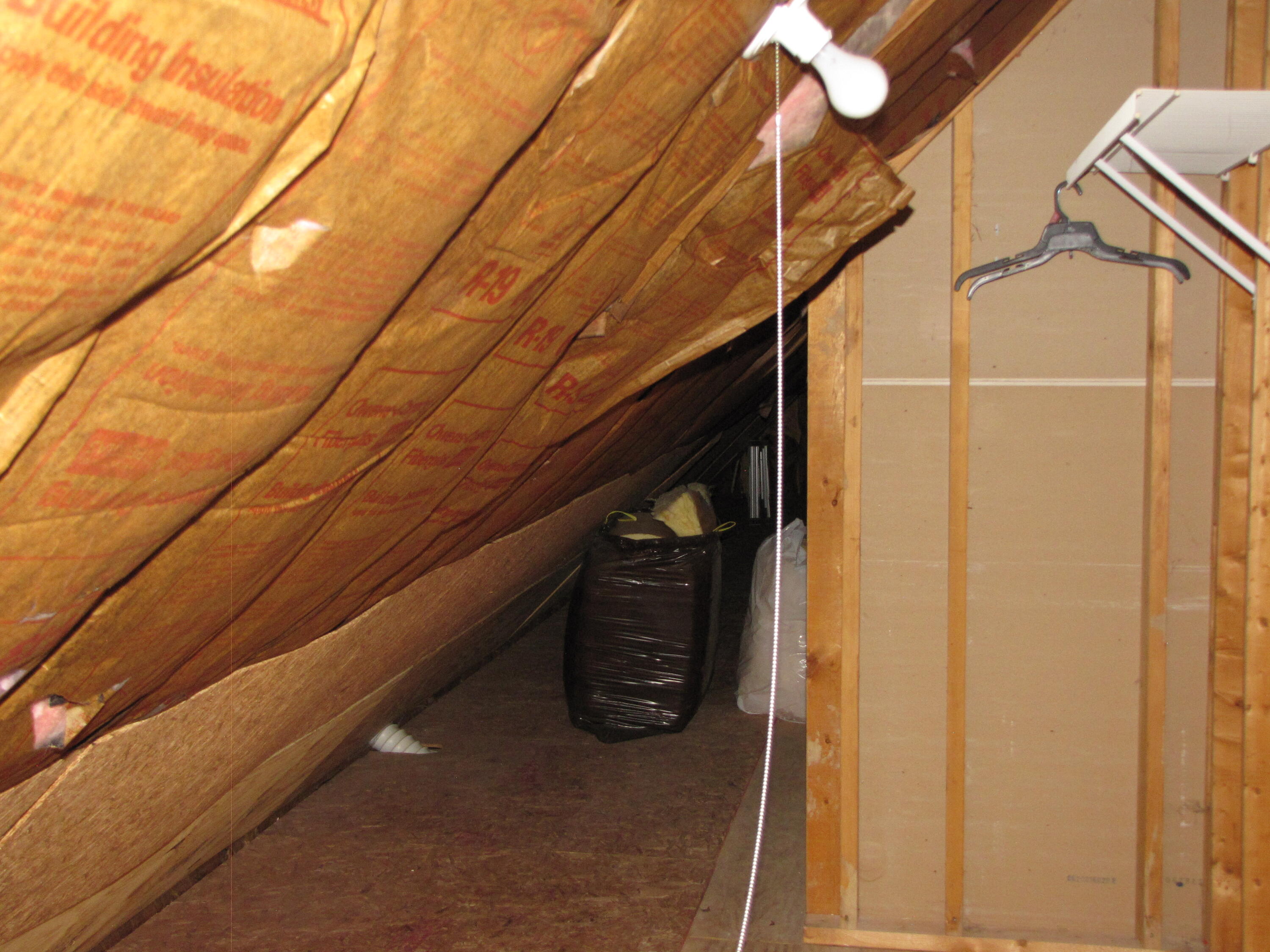 108 Sheldrake Court Georgetown, KY 40324 - Photo 86 of 87 Attic storage