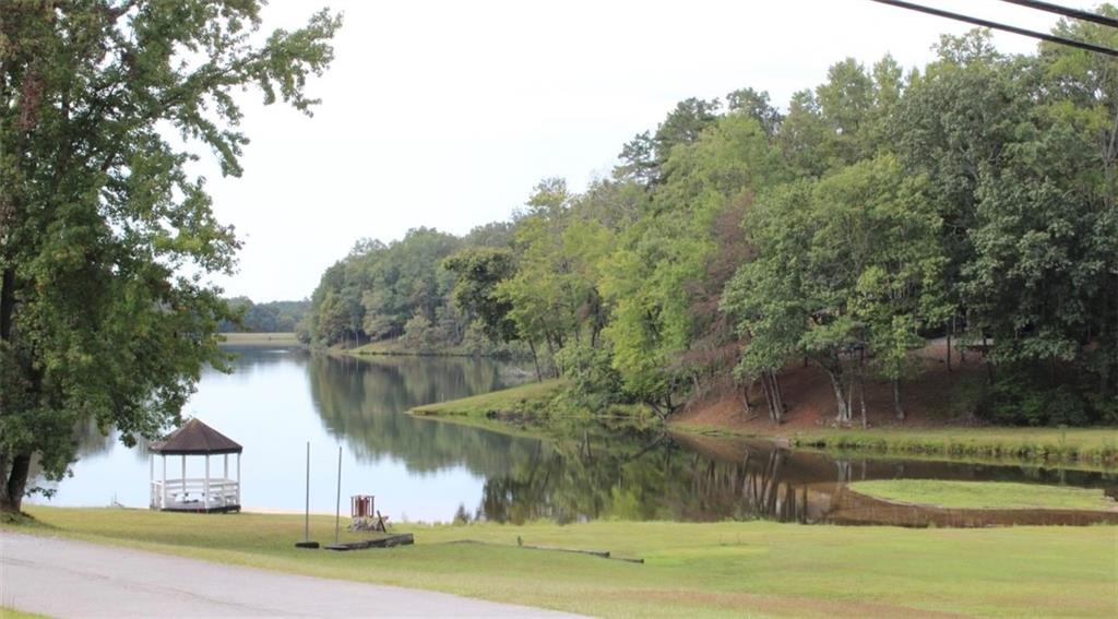 146 Canyon Pass Cleveland, GA 30528 - Photo 21 of 21 a backyard of a house with trees and plants