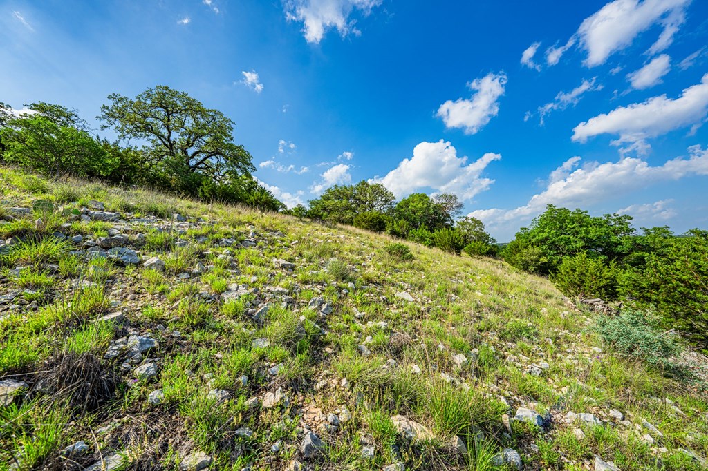 Lot 33 Spring Bluff Junction Junction, TX 76849 - Photo 12 of 19