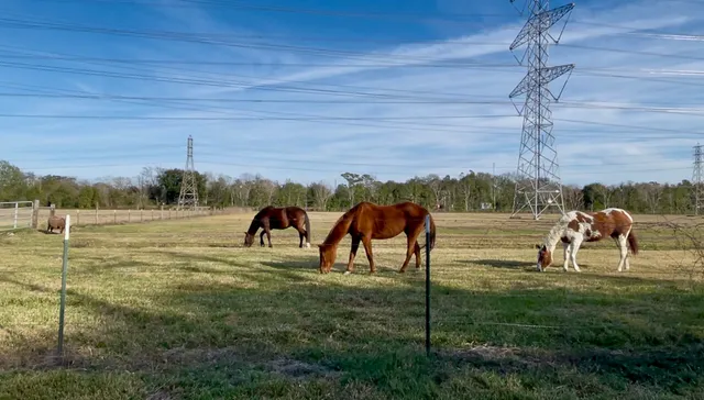 $559,680 | 10303 Greenwillow Drive, Houston, TX 77035