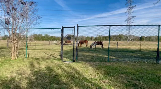 $559,680 | 10303 Greenwillow Drive, Houston, TX 77035