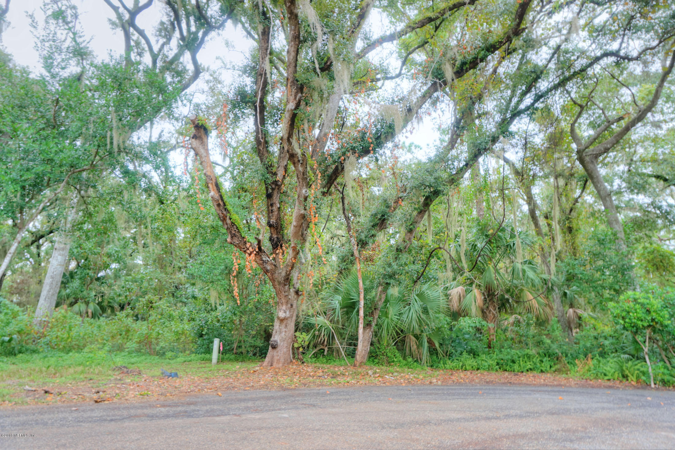 Lot 16 Wax Myrtle Road Fernandina Beach, FL 32034 - Photo 1 of 5 frontlot1-sm