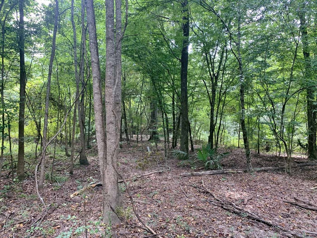 0 Garden City Road Roxie, MS 39661 - Photo 23 of 45 Photo 23