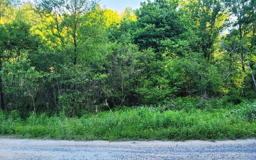 Additional View