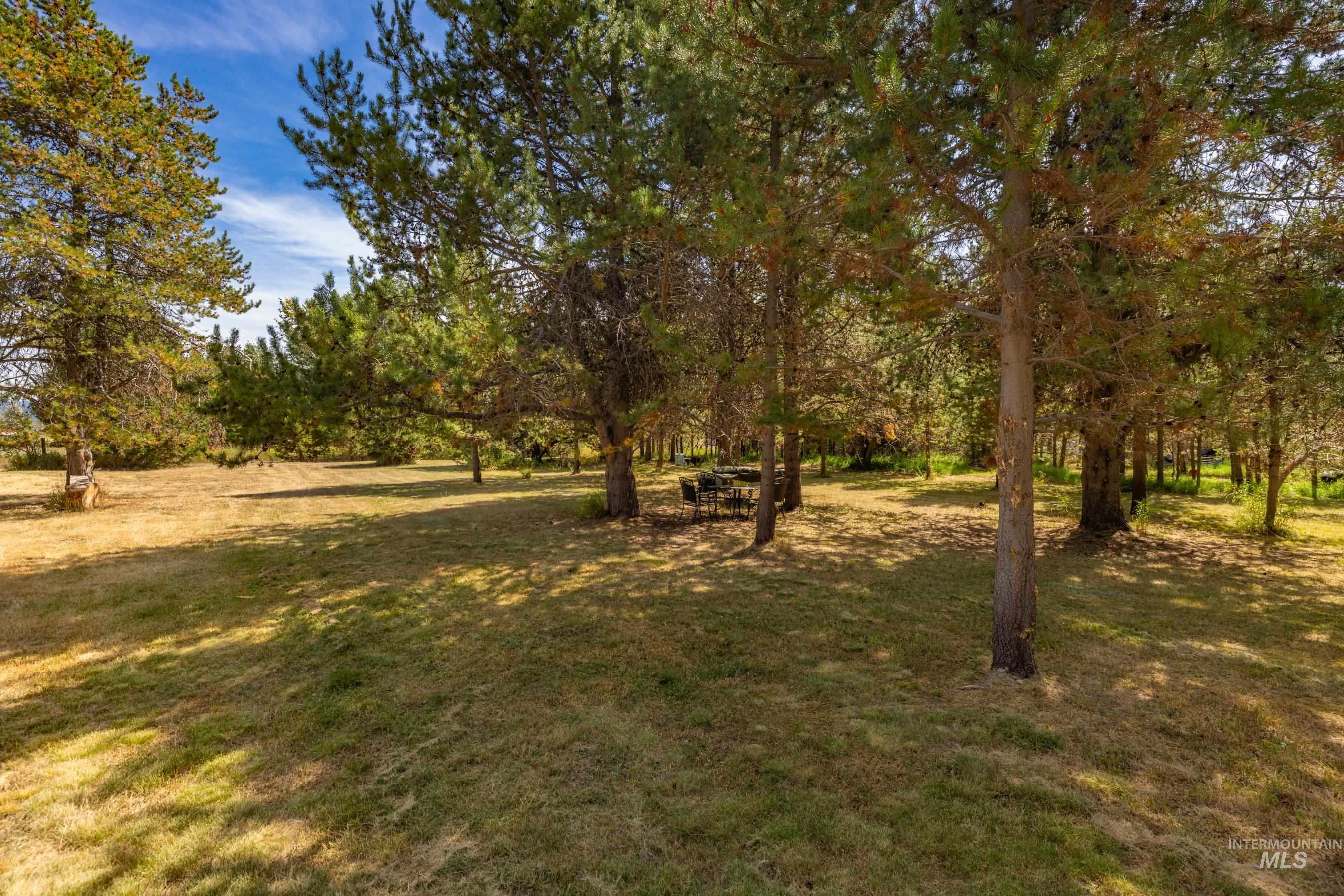 12917 Spring Valley Road Donnelly, ID 83615 - Photo 11 of 25 Gallery Image 11