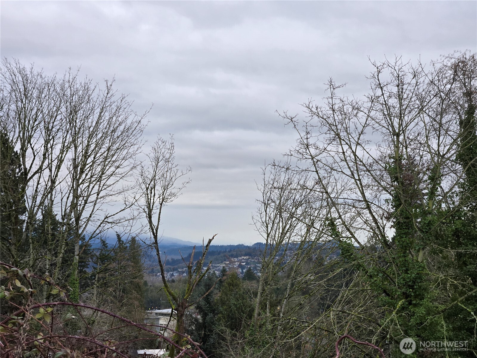 71-xx South 130th Street Seattle, WA 98178 - Photo 12 of 14