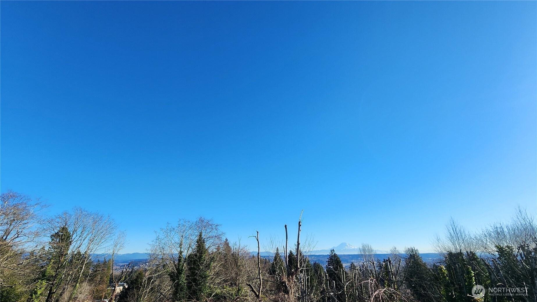 71-xx South 130th Street Seattle, WA 98178 - Photo 2 of 14