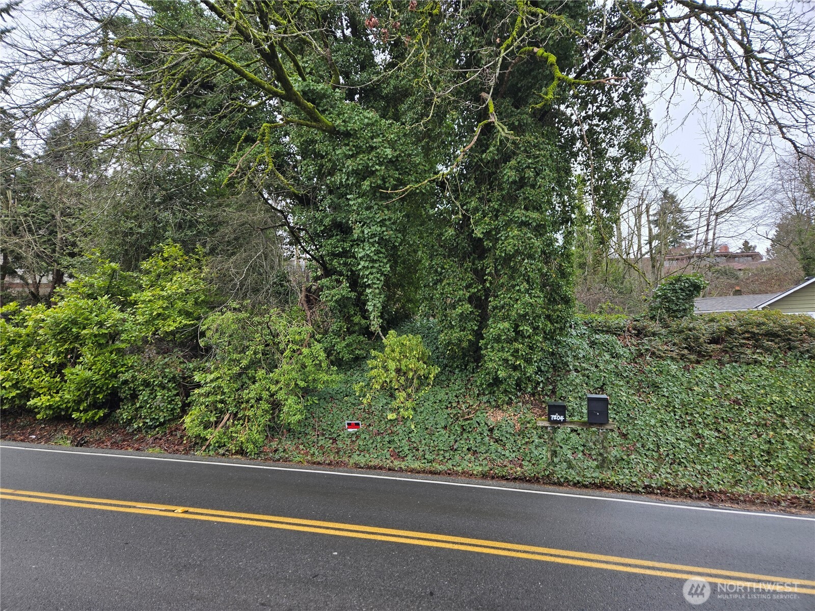 71-xx South 130th Street Seattle, WA 98178 - Photo 5 of 14