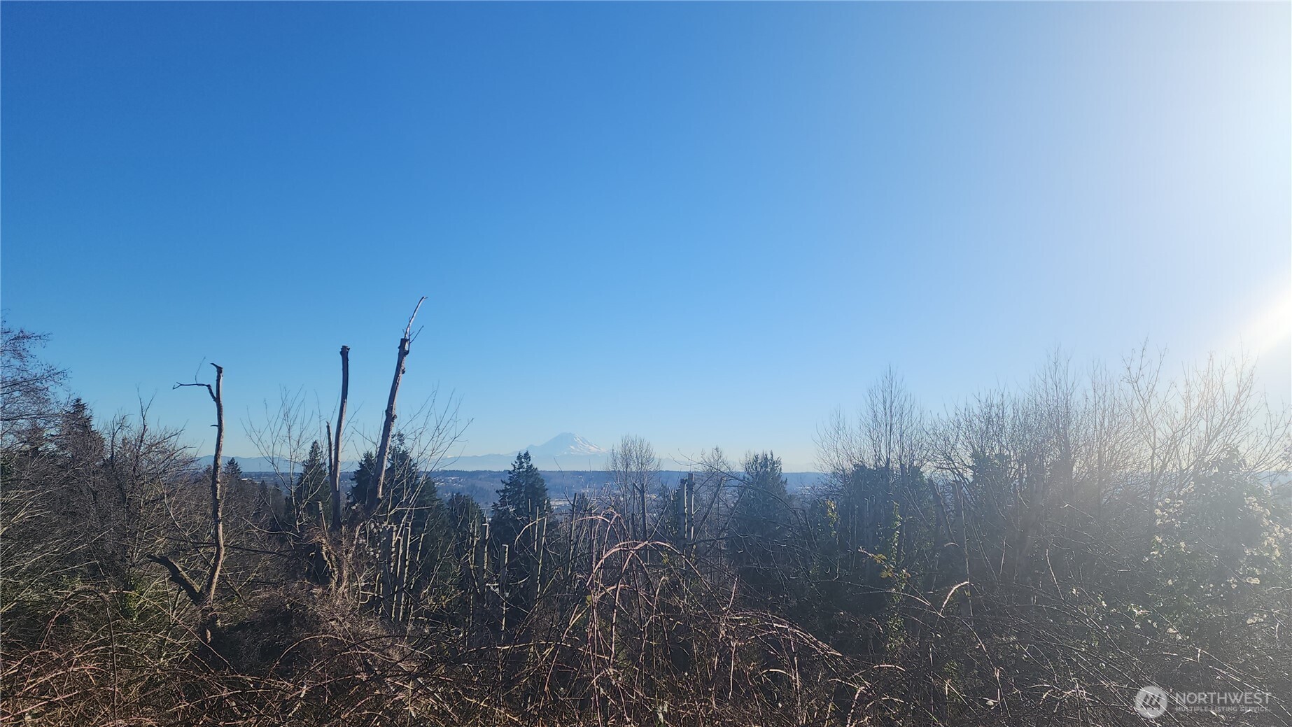 71-xx South 130th Street Seattle, WA 98178 - Photo 6 of 14