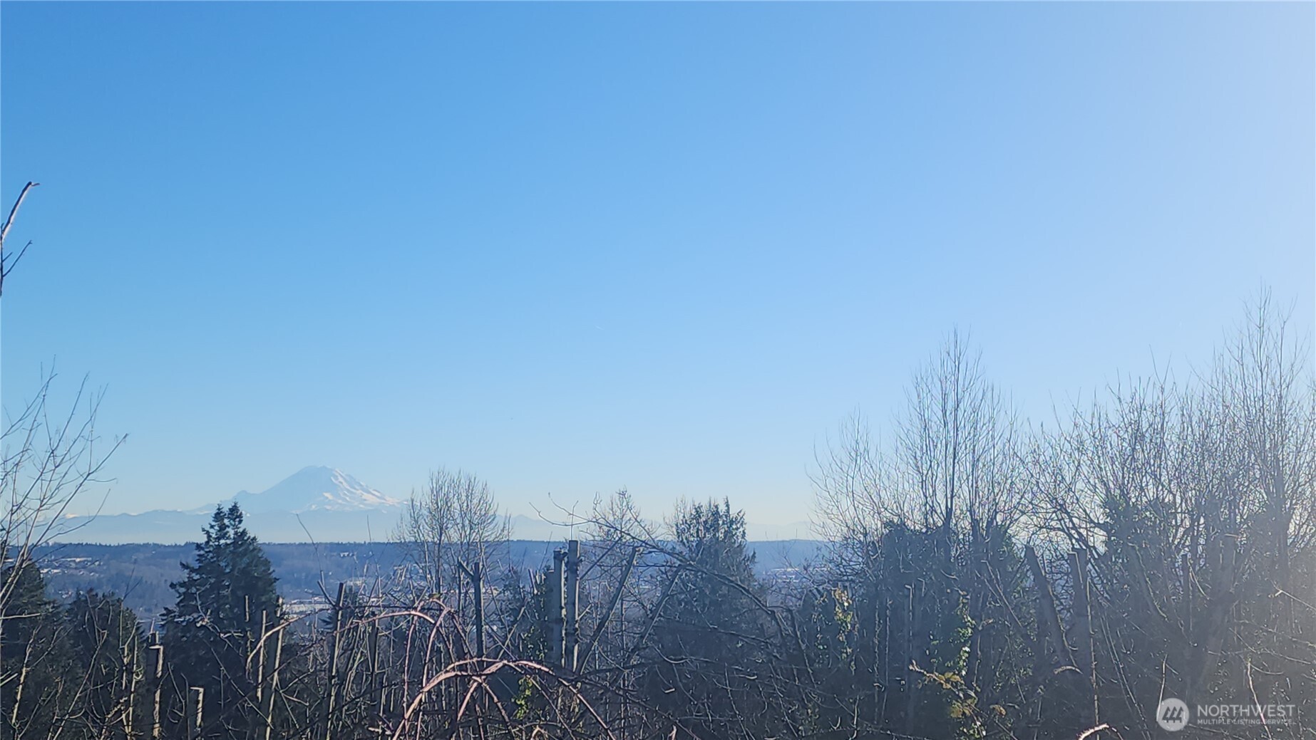 71-xx South 130th Street Seattle, WA 98178 - Photo 8 of 14