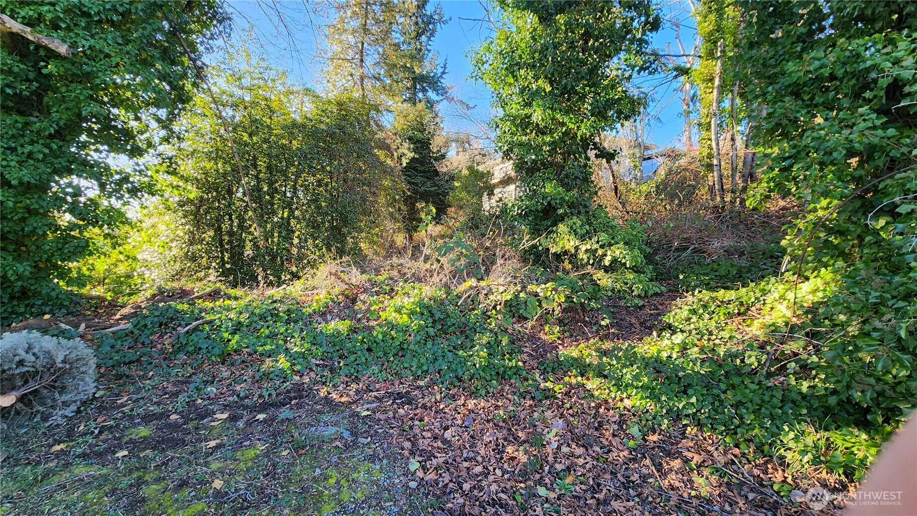 71-xx South 130th Street Seattle, WA 98178 - Photo 9 of 14