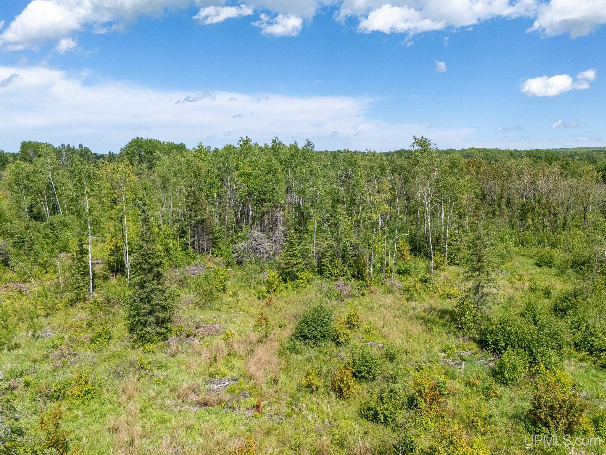 On Brown Road Bruce Crossing, MI 49912 - Photo 8 of 18 Gallery Image 8
