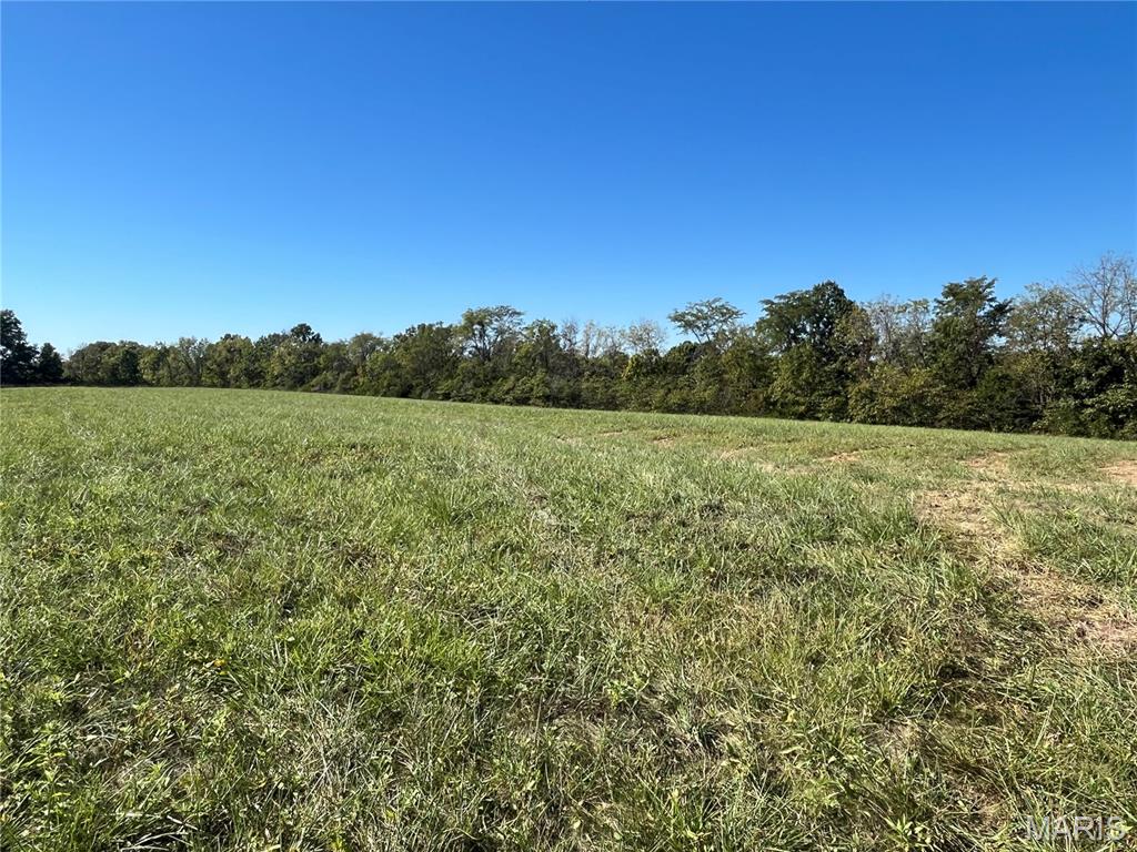 15 Lot 1) Autumn Ridge Drive Elsberry, MO 63343 - Photo 20 of 31