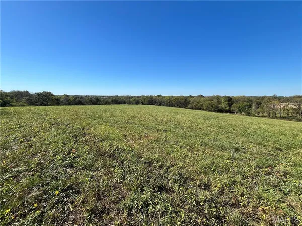 $91,500 | 15 Lot 1) Autumn Ridge Drive, Elsberry, MO 63343