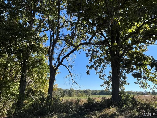 $91,500 | 15 Lot 1) Autumn Ridge Drive, Elsberry, MO 63343