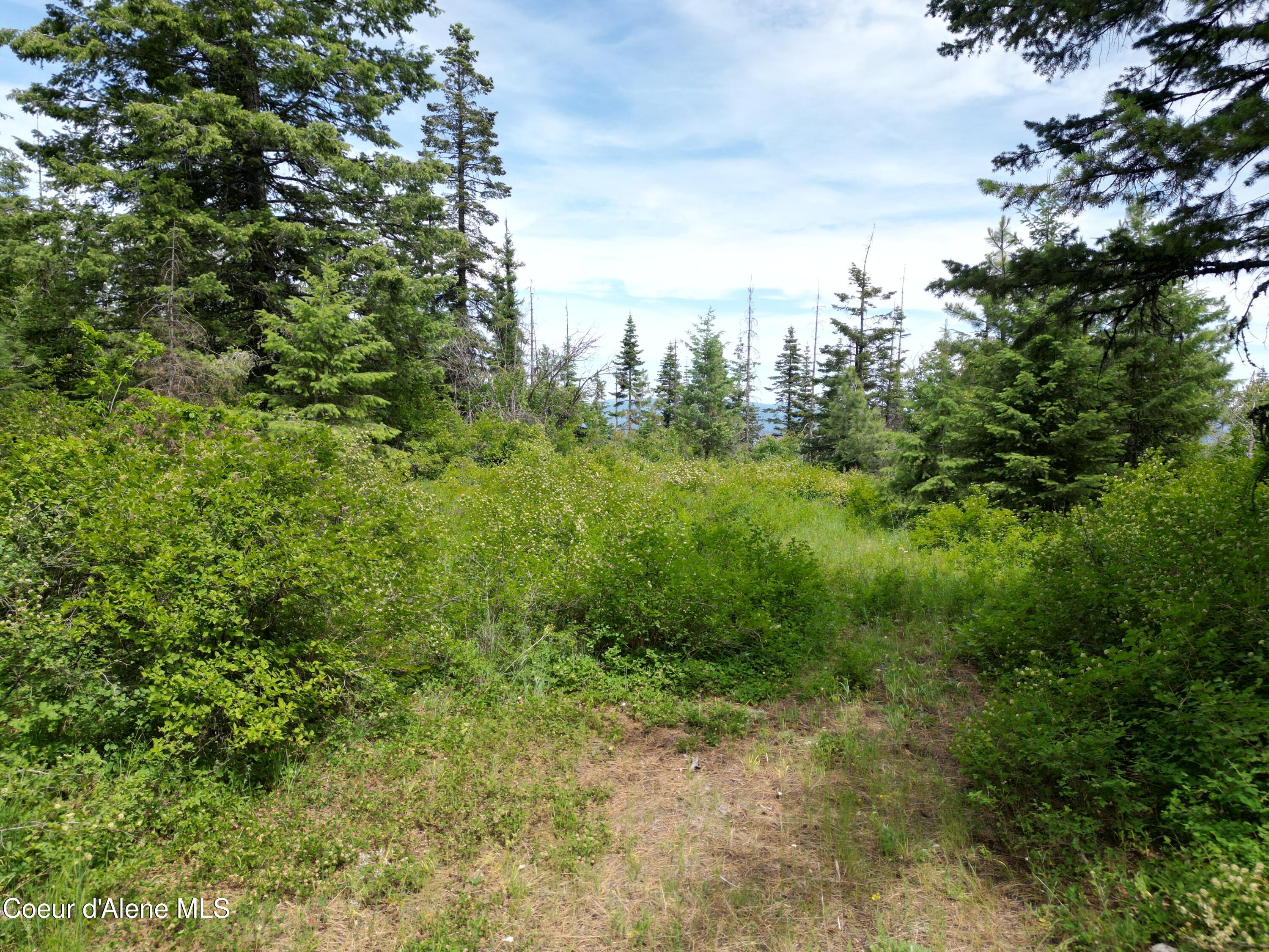 Nka Initial Peak Road Cataldo, ID 83810 - Photo 17 of 18 NKA Initial