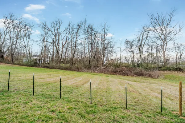 a view of a swimming pool with a yard