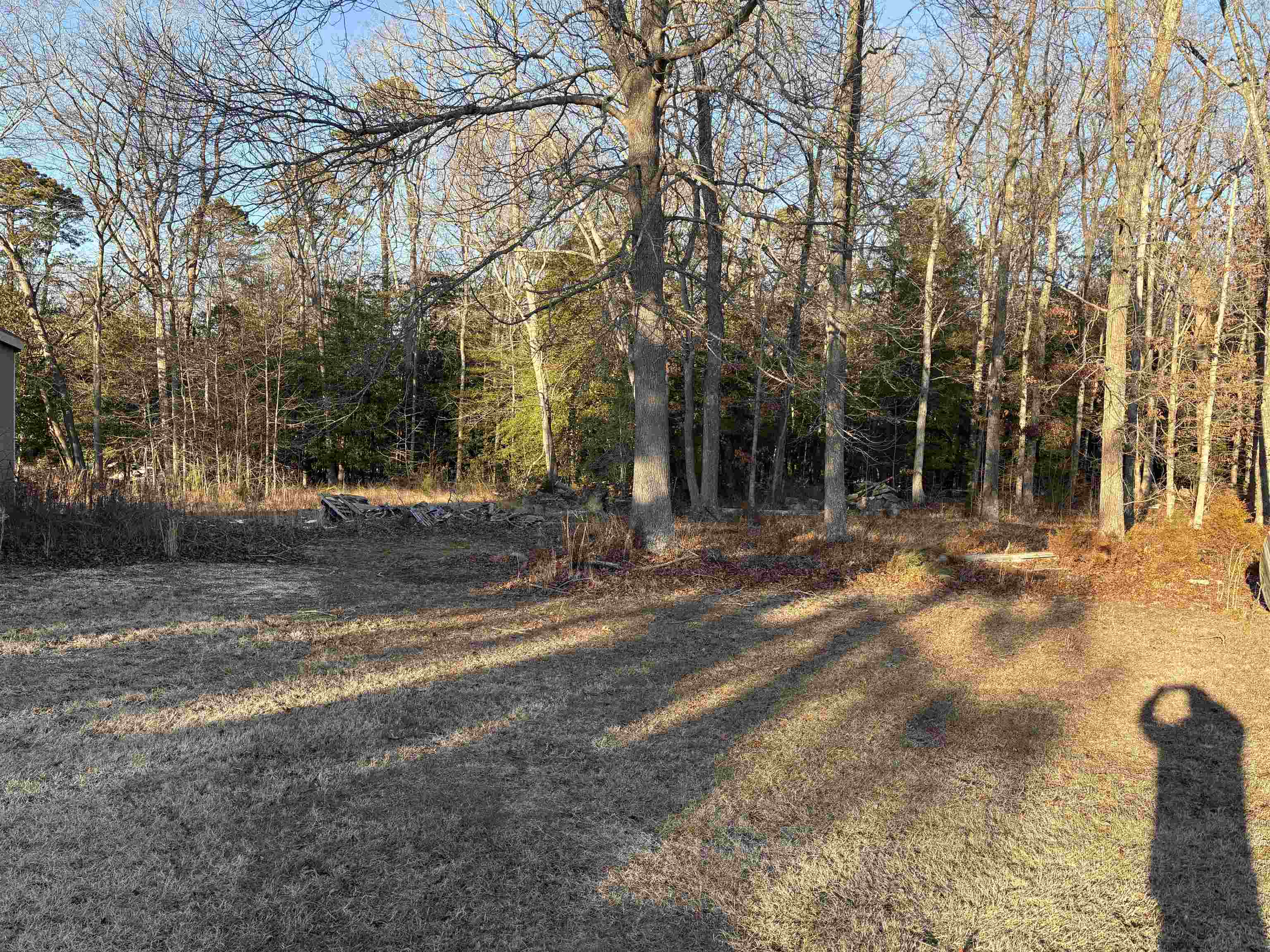 301 Mill Road Woodbine, NJ 08270 - Photo 4 of 6