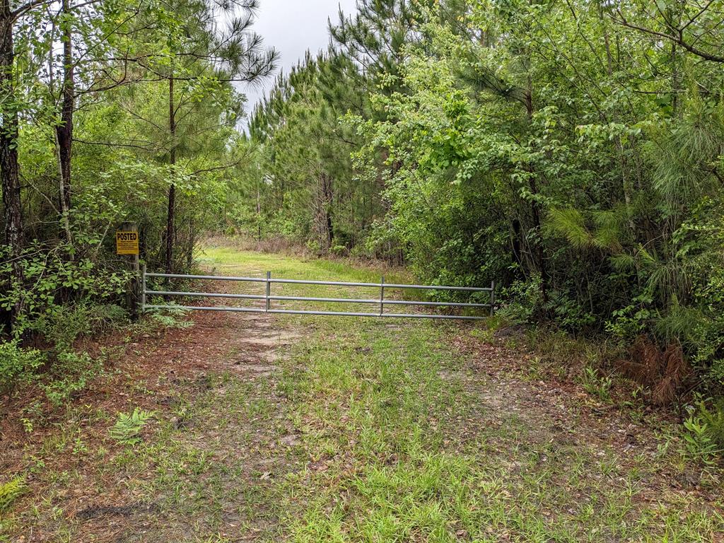 Lot 4 McMillan Road Lenox, GA 31637 - Photo 20 of 21 Gallery Image 20