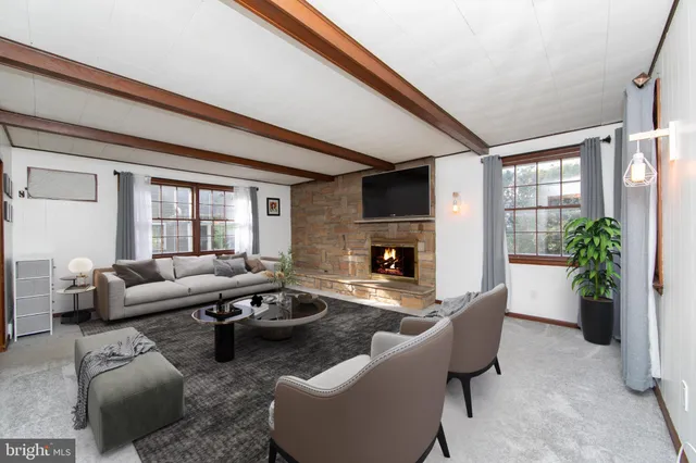 a living room with furniture potted plant and a fireplace