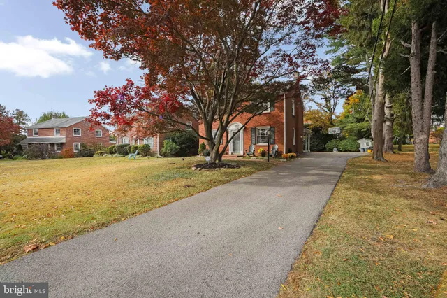 a row of palm trees in front of house