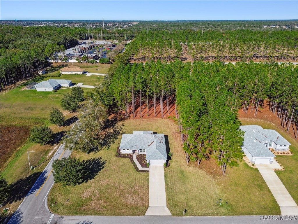 65 East Boston Street Hernando, FL 34442 - Photo 67 of 100
