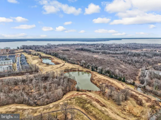 a view of a dry yard with wooden fence