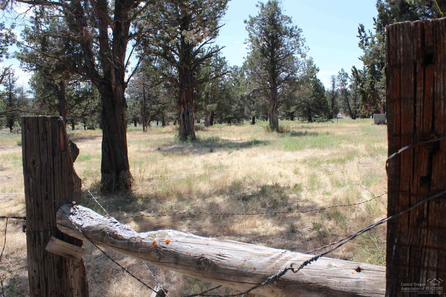 18245 Plainview Road Bend, OR 97703 - Photo 20 of 23 Pasture area
