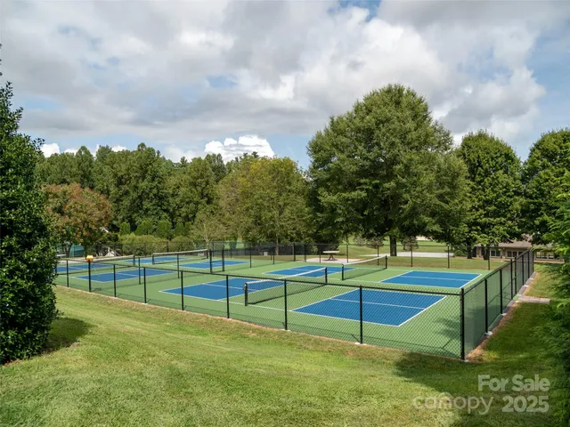 a view of a swimming pool with a garden
