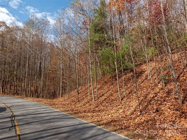 a view of backyard and wooden floor