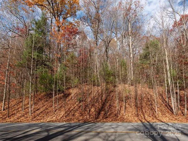 a view of backyard with green space