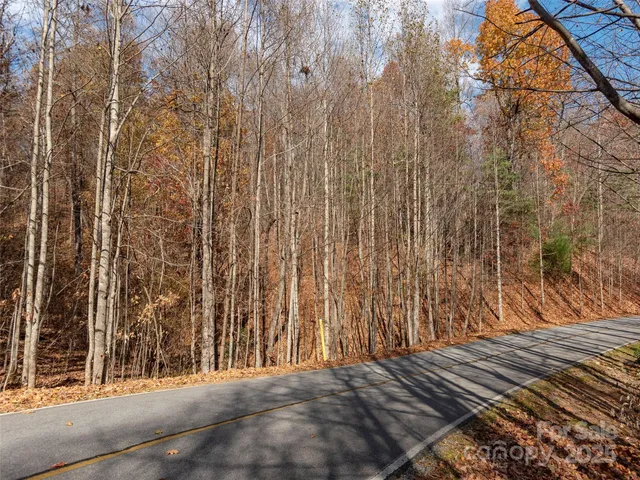 a view of a wooden door