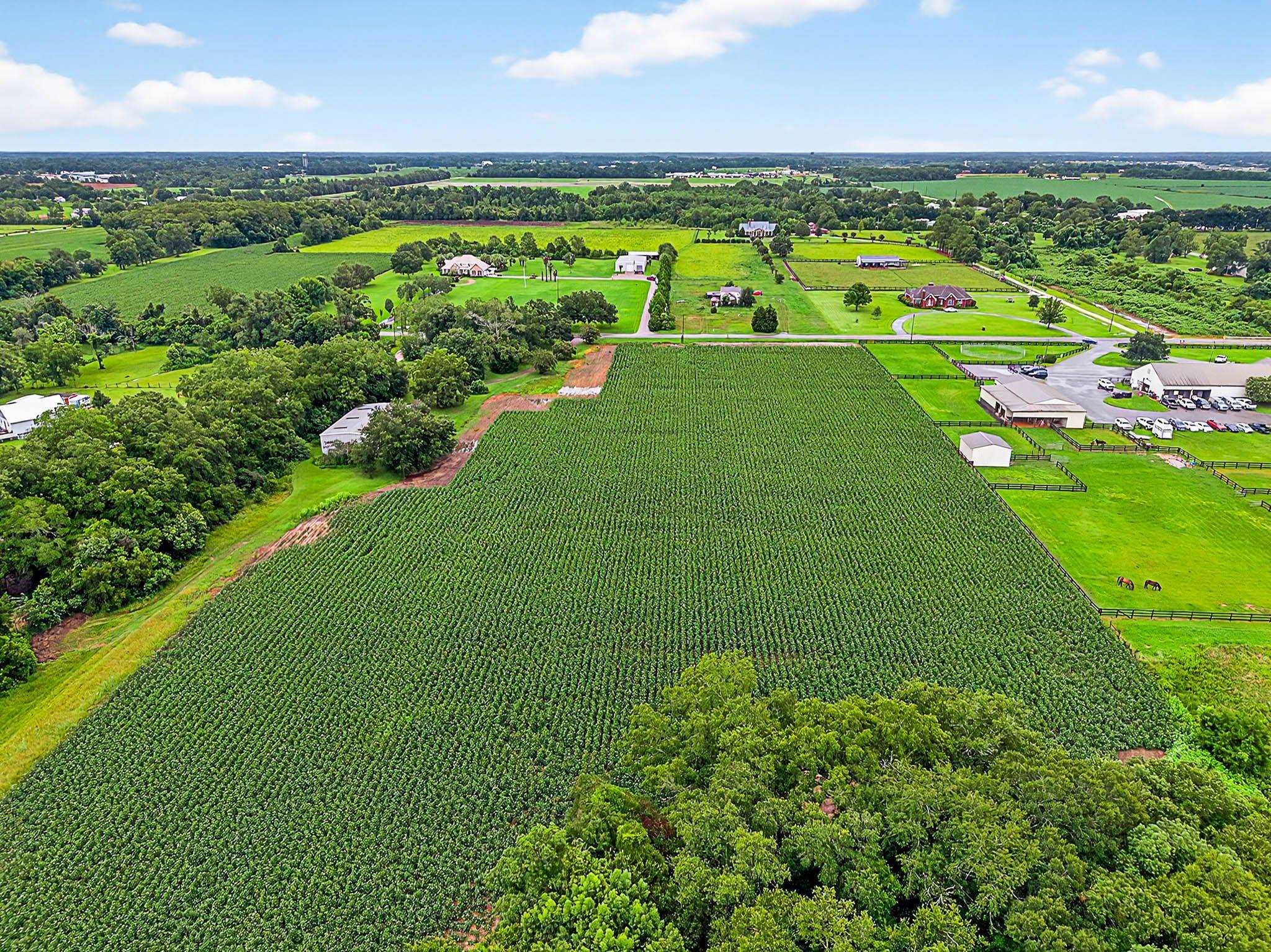 17270 Davis Road Summerdale, AL 36580 - Photo 50 of 97 Aerial View