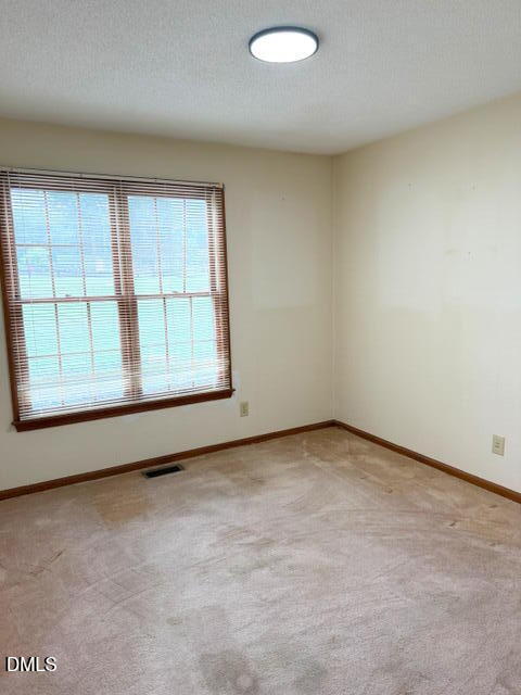 460 Dr Parrott Road Henderson, NC 27537 - Photo 10 of 23 Tezza-5155