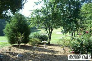 16072 Palawan Court Tega Cay, SC 29708 - Photo 6 of 8 Gallery Image 6