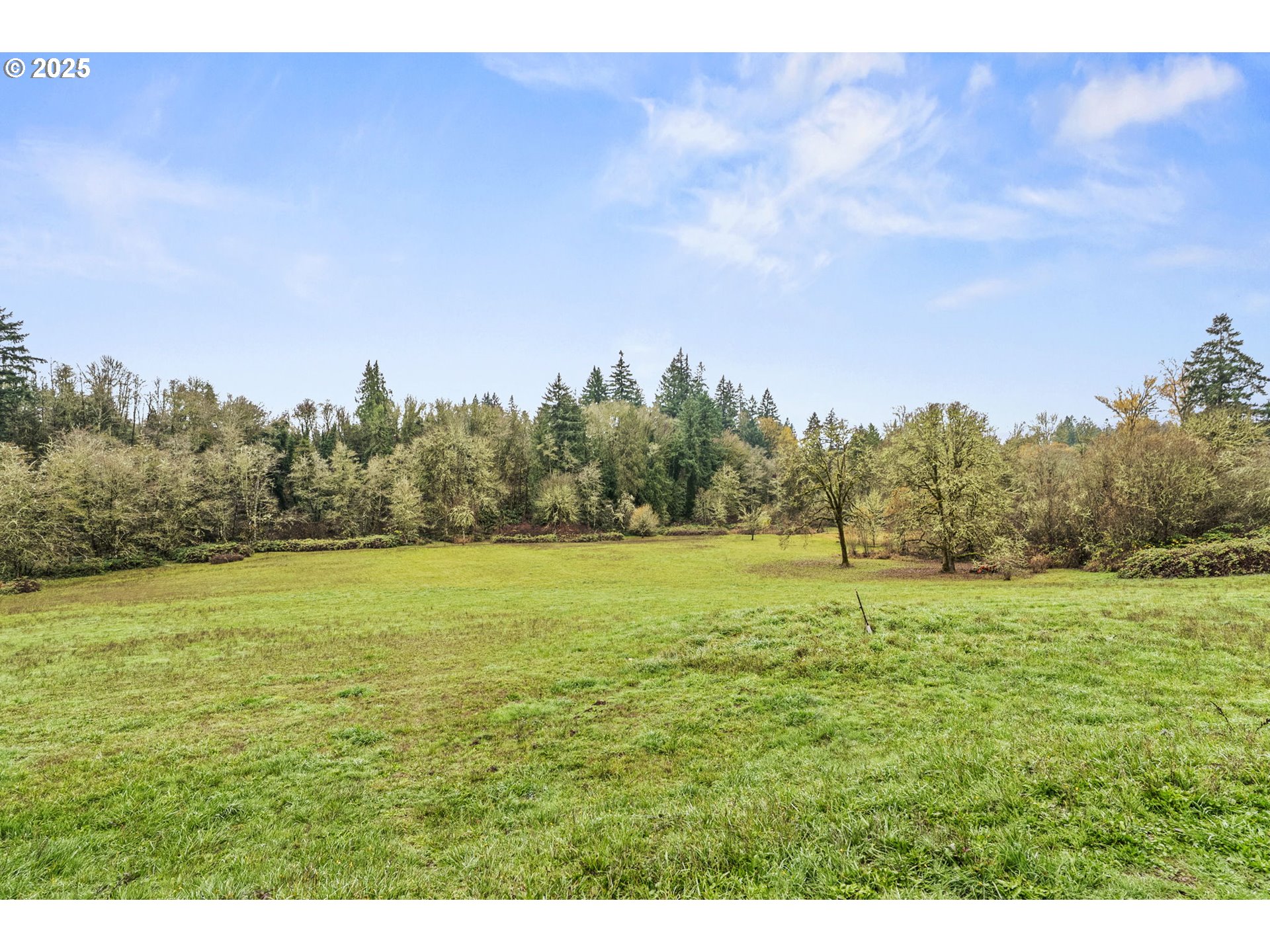 1707 Northwest 354th Street La Center, WA 98629 - Photo 9 of 31 a view of an outdoor space and trees