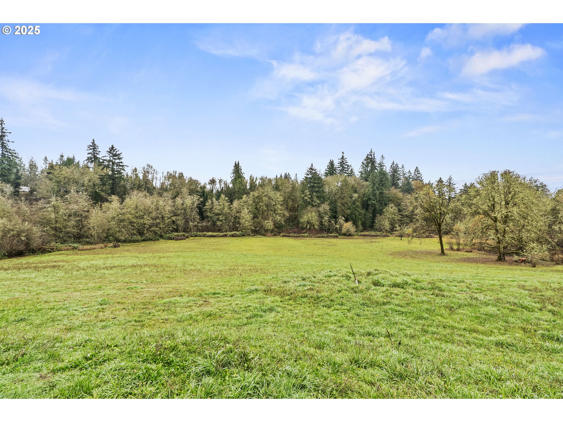 1707 Northwest 354th Street La Center, WA 98629 - Photo 10 of 31 a view of an ocean view