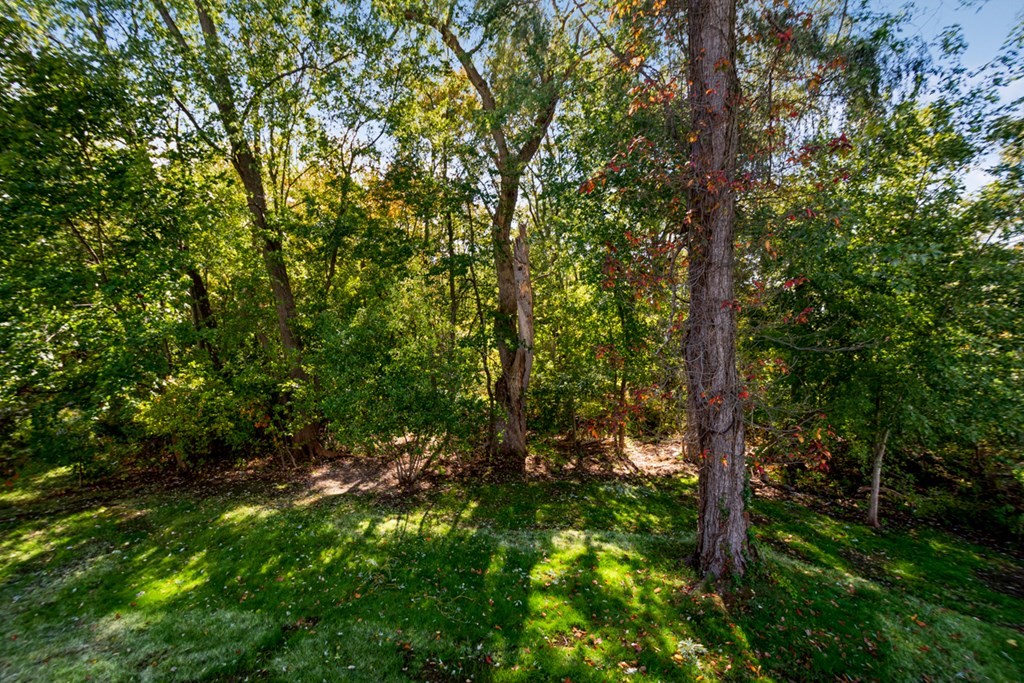 23 Hamilton Road Woburn, MA 01801 - Photo 26 of 31 Gallery Image 26