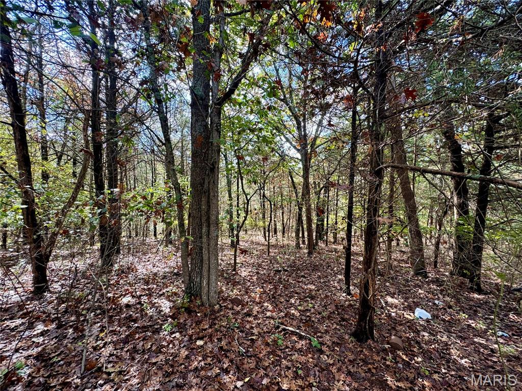 Lot 5 Haverstick School Road Festus, MO 63028 - Photo 5 of 9