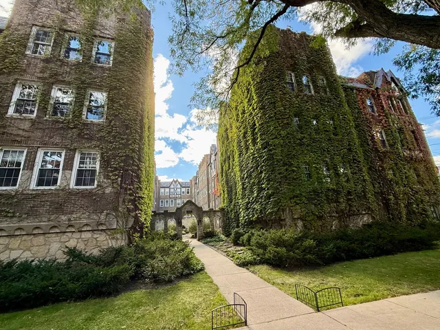 a view of a back yard of the building