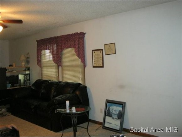 3247 Carman Avenue Springfield, IL 62703 - Photo 5 of 7