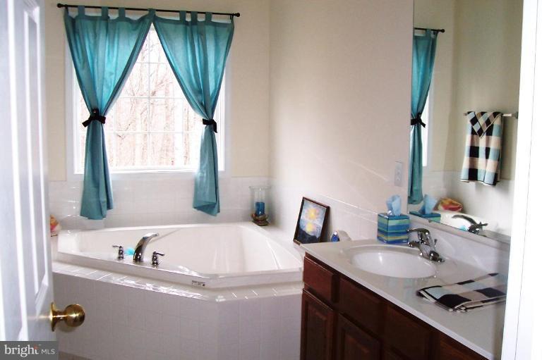 277 Freezeland Loop Road Linden, VA 22642 - Photo 7 of 10 a bathroom with a sink and a mirror