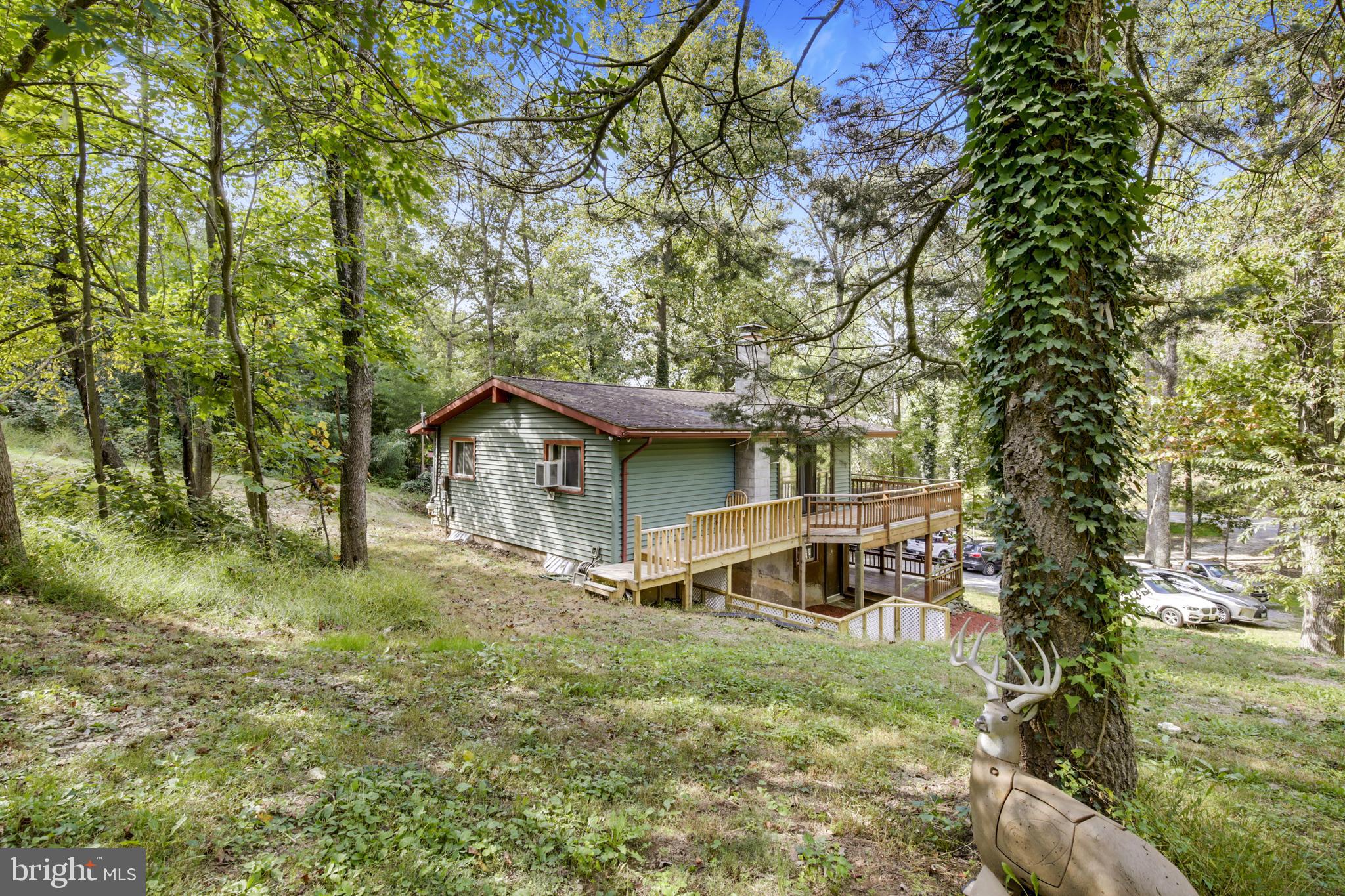 4151 Bill Moxley Road Mount Airy, MD 21771 - Photo 11 of 54 REAR YARD
